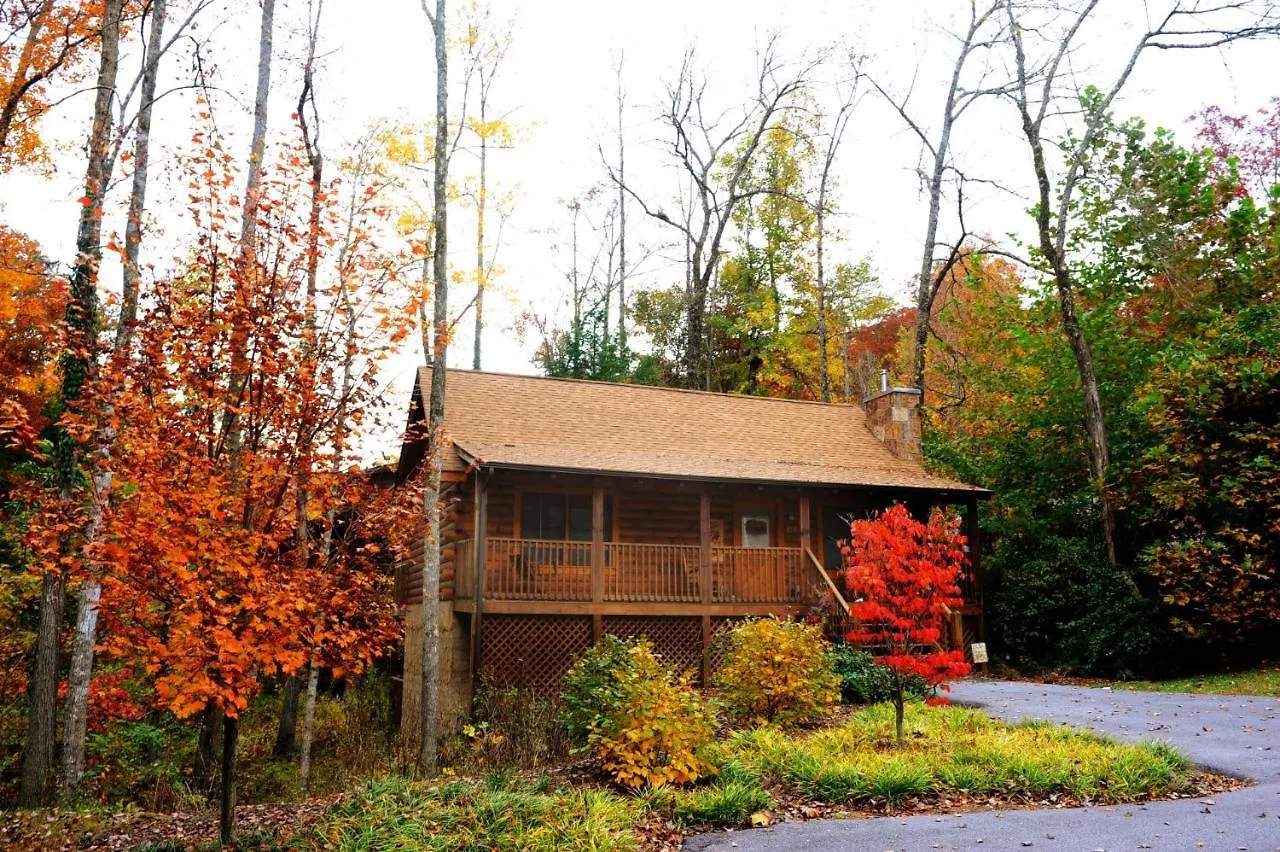 Er259- Country Charm Great Location, Close To Town * Pigeon Forge