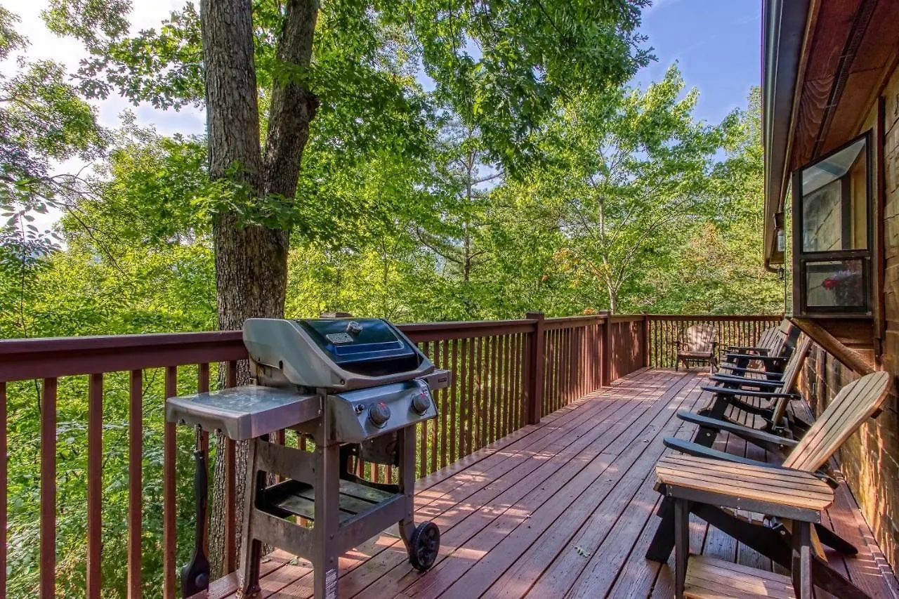 Er3 - Of Both Worlds -great Location-close To Town Pigeon Forge