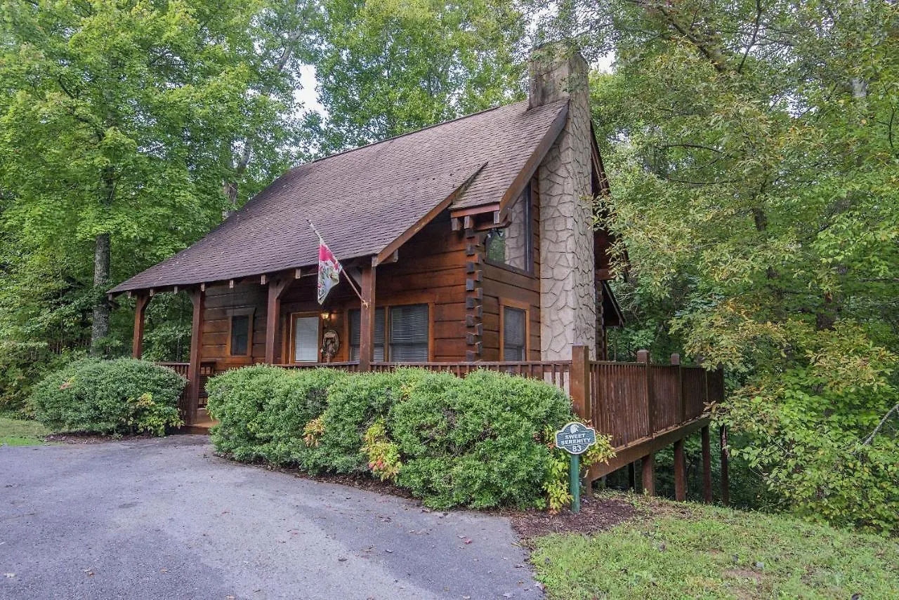 Er83 - Savage Loft - Your Close To The Action Getaway * Pigeon Forge