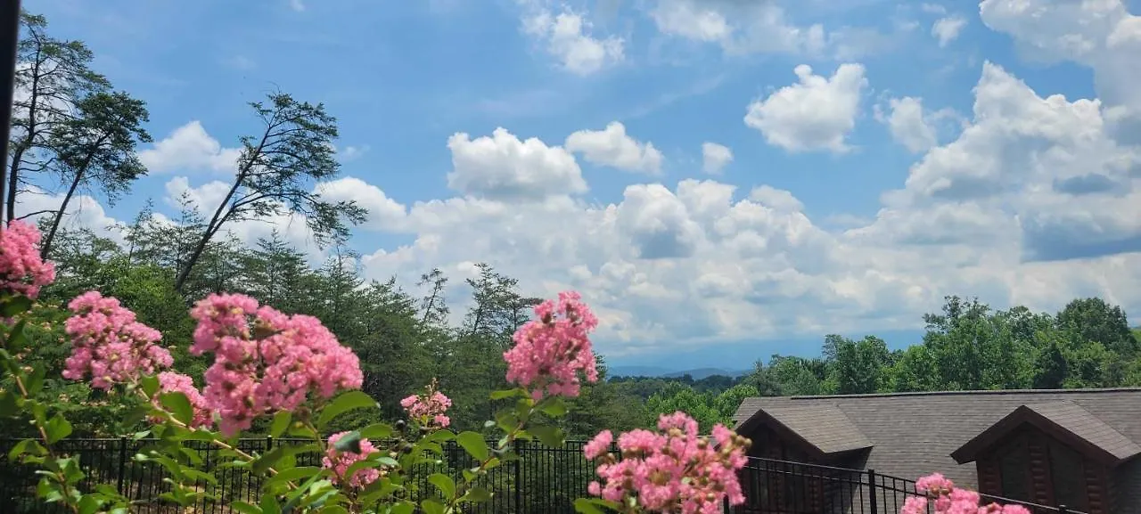 The Bear Paw Palace Mtn View And Community Pools