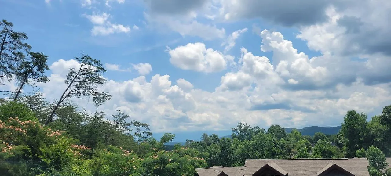 The Bear Paw Palace Mtn View And Community Pools Pigeon Forge