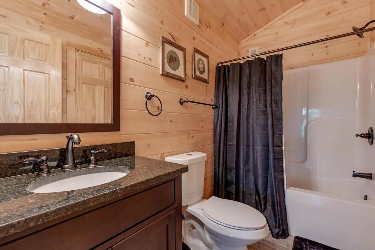 Pure Indulgence, 2 Bedrooms, Hot Tub, Pool Access, Theater Room, Sleeps 10 Holiday home Pigeon Forge