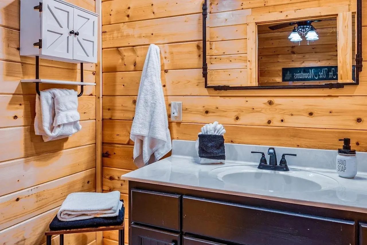Pine Haven Hollow, Hot Tub, Game Room, Wifi, 1089 Free Tickets Each Paid Day, Dollywood And Holiday home Pigeon Forge
