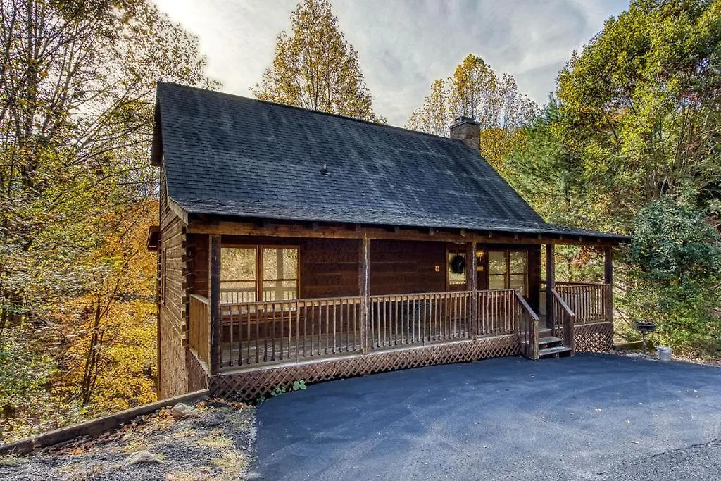 The Honey Pot, Hot Tub, Pool, 1089 Free Tickets Each Paid Day, Dollywood And Tatil Evi