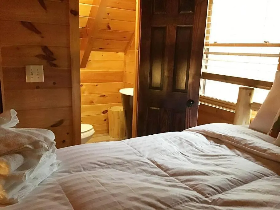 Dollywood! Brand New Dancing Bear 3-bear Tracks 度假居 鸽子谷