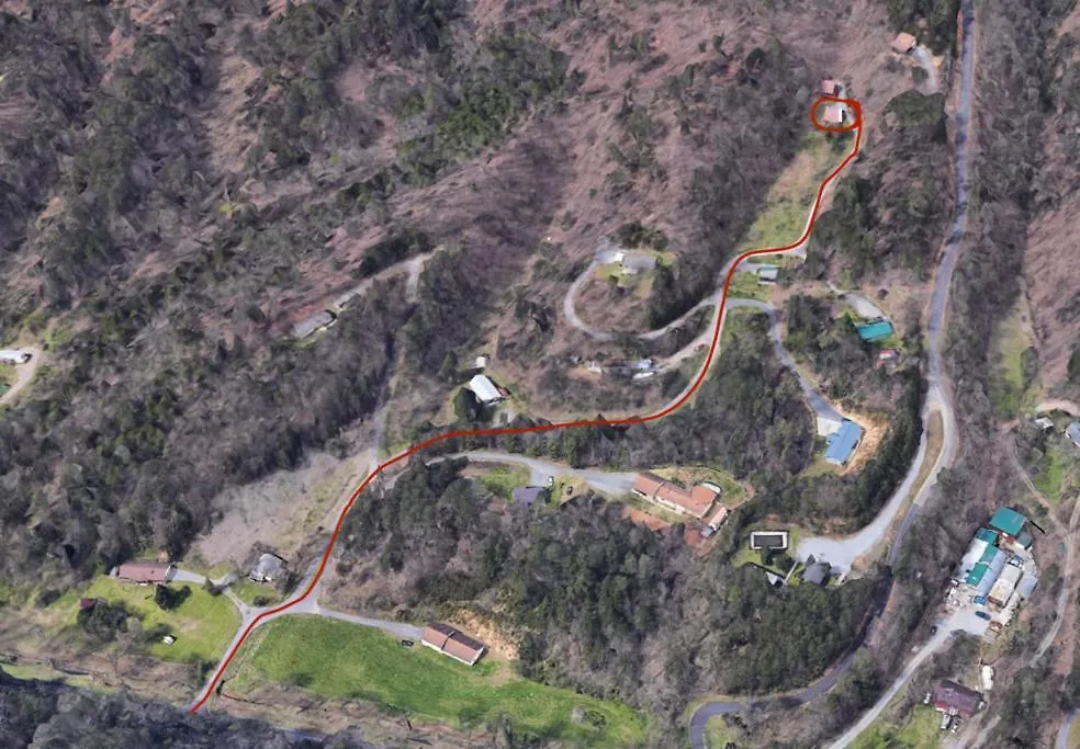 Dollywood! Brand New Dancing Bear 3-bear Tracks * 鸽子谷