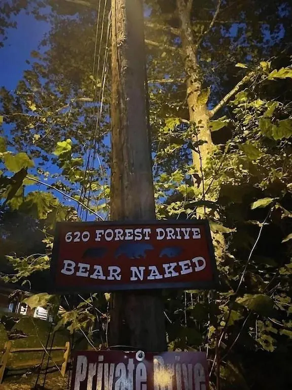 Bear Nakid