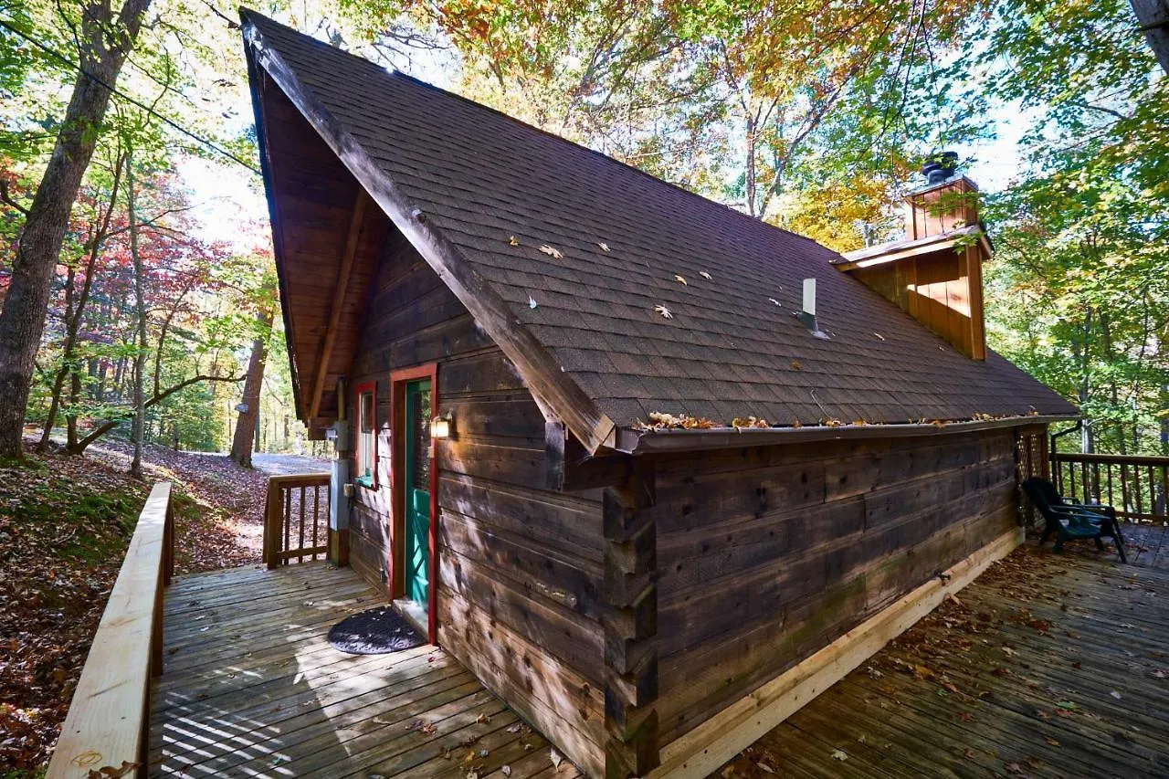 Vakantiehuis A In The Woods