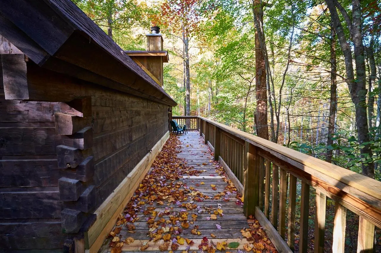 Vakantiehuis A In The Woods