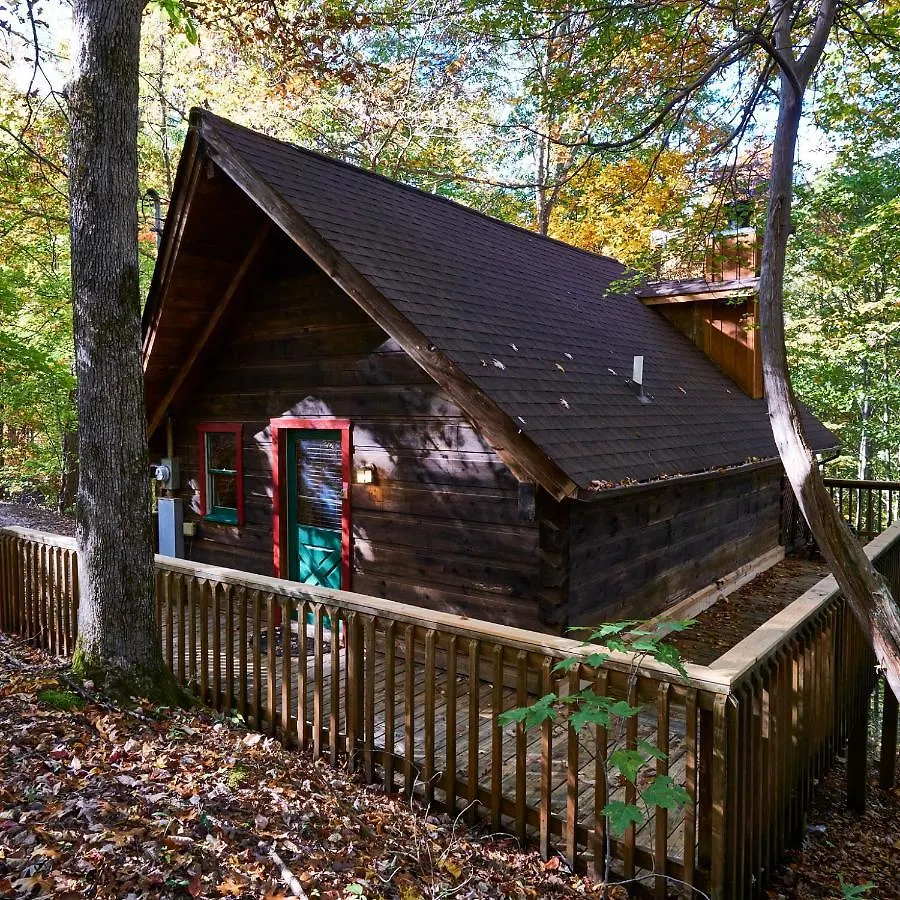 Vakantiehuis A In The Woods Pigeon Forge