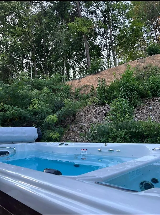 Holiday home Dollywood Vacation Retreat