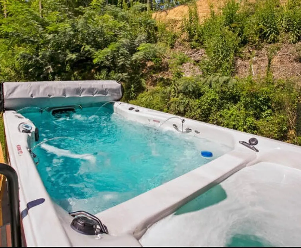 Holiday home Dollywood Vacation Retreat
