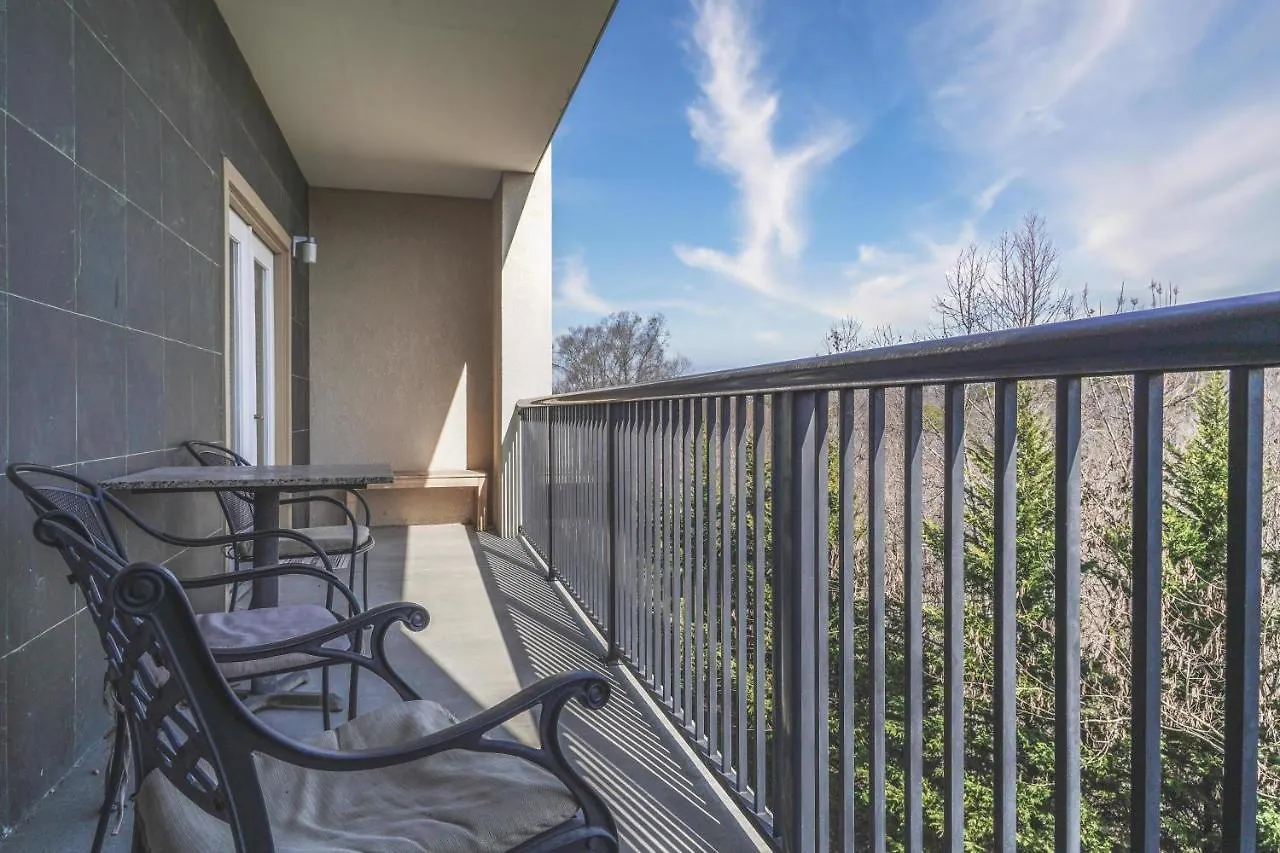 Mvc - Unit 5404 - Pigeon Roost Apartment *
