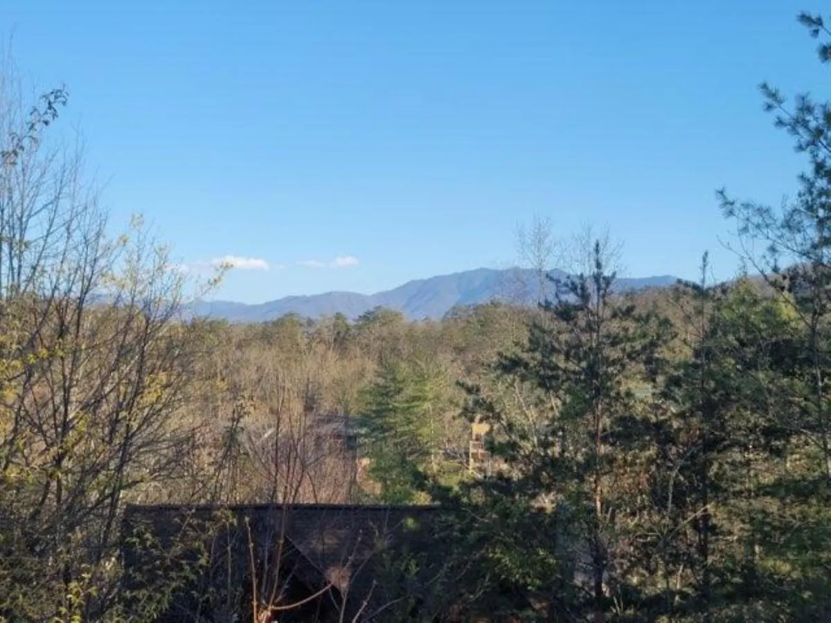 Er18 - The Lazy Bear View - Great Location - Close To Town! Pigeon Forge