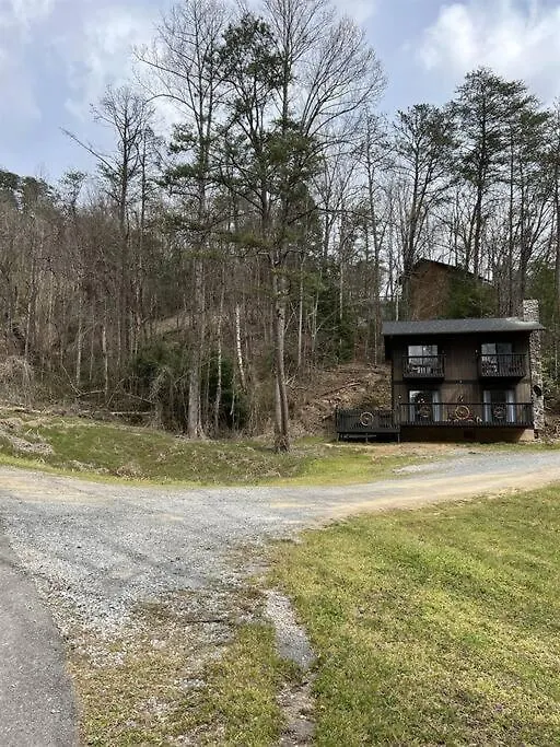 Pioneer Pass- Hot Tub, 2 Bdrm, W&d, Pets Ok Holiday home *