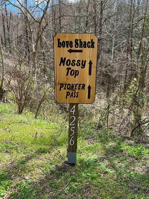 Pioneer Pass- Hot Tub, 2 Bdrm, W&d, Pets Ok * Pigeon Forge
