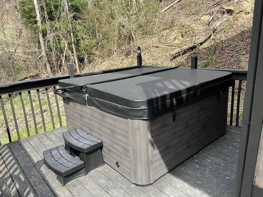 Pioneer Pass- Hot Tub, 2 Bdrm, W&d, Pets Ok