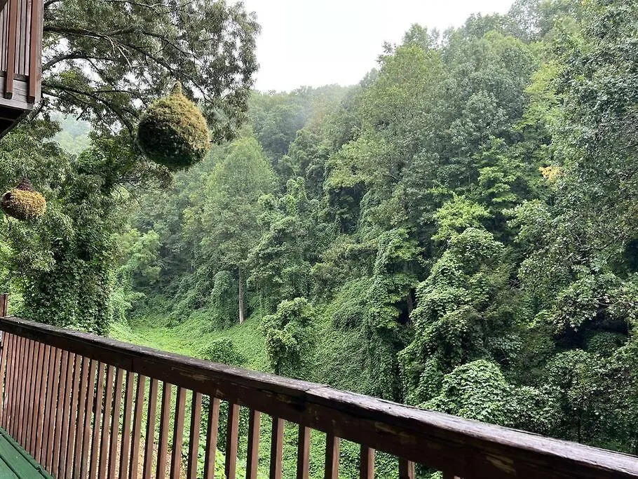 Mossy Top- Hot Tub, 2 Bdrm, Pets Ok, Grill Pigeon Forge
