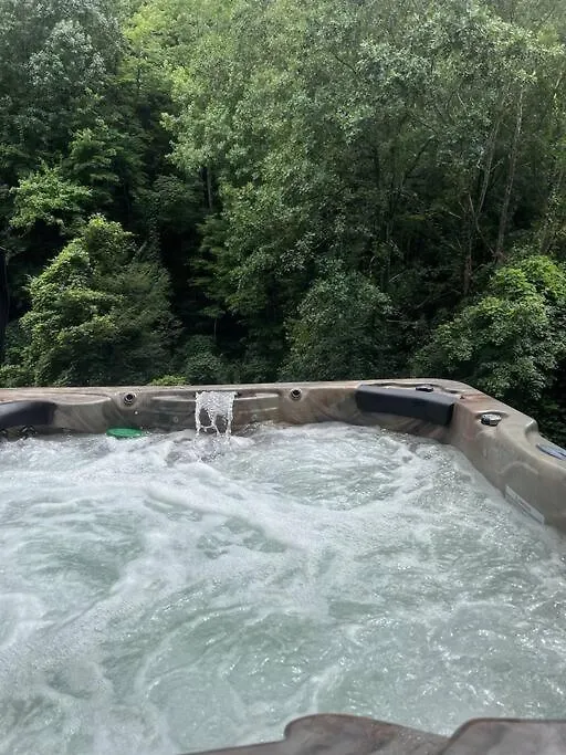 Holiday home Mossy Top- Hot Tub, 2 Bdrm, Pets Ok, Grill Pigeon Forge