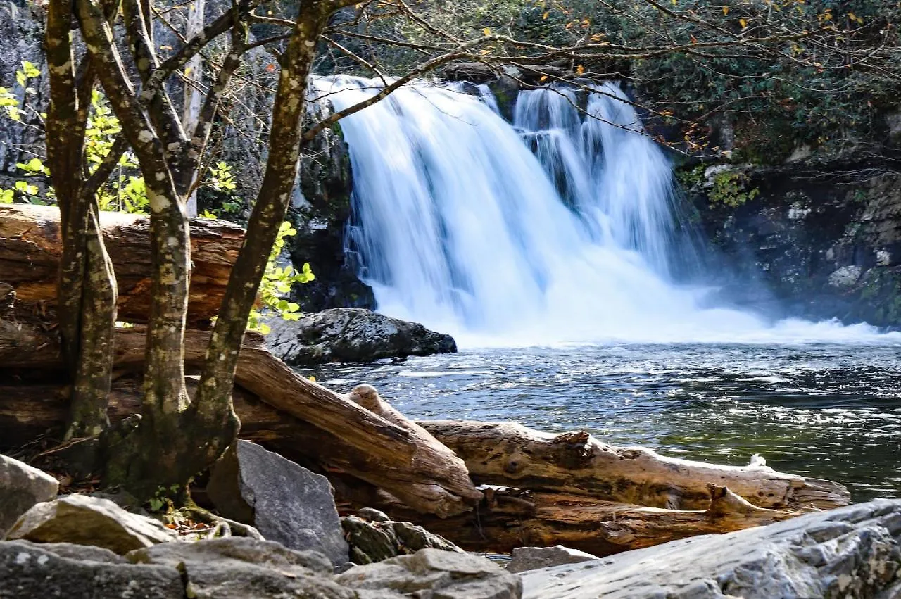 Time For 2! Whispering Pines 251 Pigeon Forge