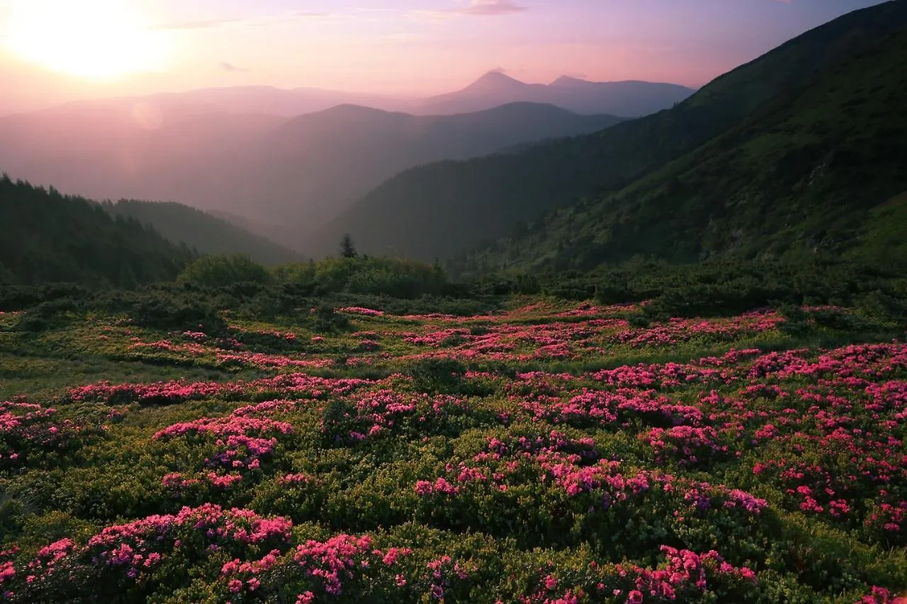 Huckleberry Ridge * Pigeon Forge