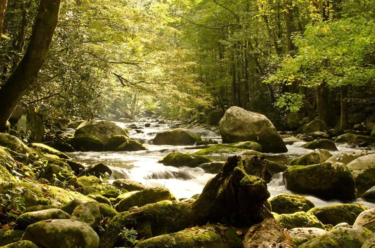 Casa vacanze Woodland Escape Pigeon Forge