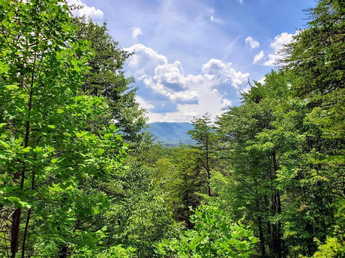 Horská chata Hillbilly Hilton-pet Friendly-sleeps 4-free Tickets-mountain View *