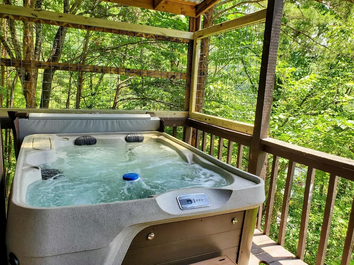 Horská chata Hillbilly Hilton-pet Friendly-sleeps 4-free Tickets-mountain View *