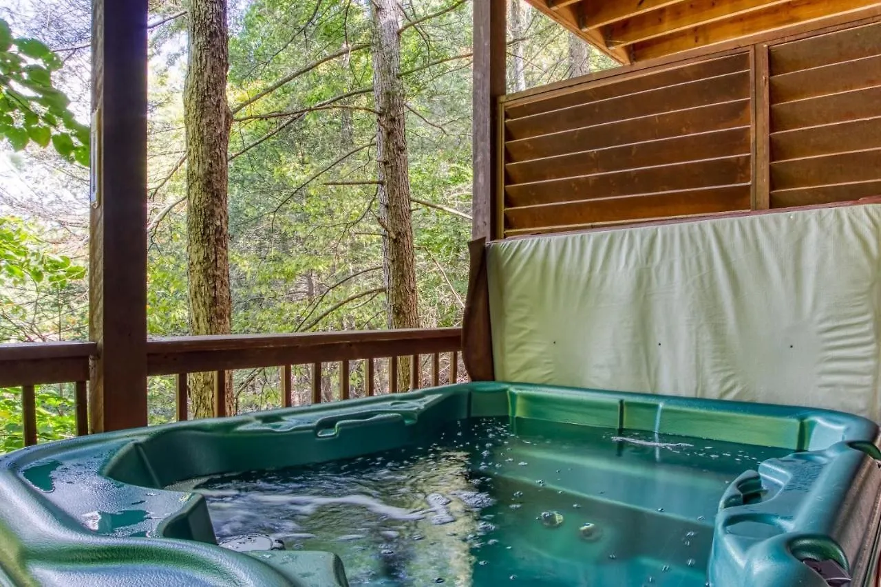 Er254 - Hibernation Hideaway Holiday home Pigeon Forge