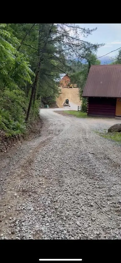 Dollywood! Brand New Dancing Bear 3-bear Tracks 鸽子谷