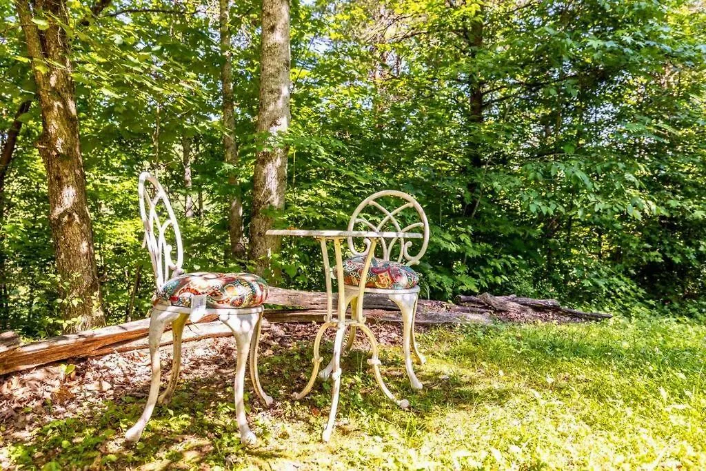 Romantic Gem, 2 Acres, Hot Tub, Free Pet, King Bed Holiday home Pigeon Forge