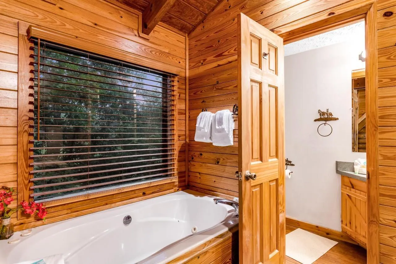 Perch Holiday home Pigeon Forge