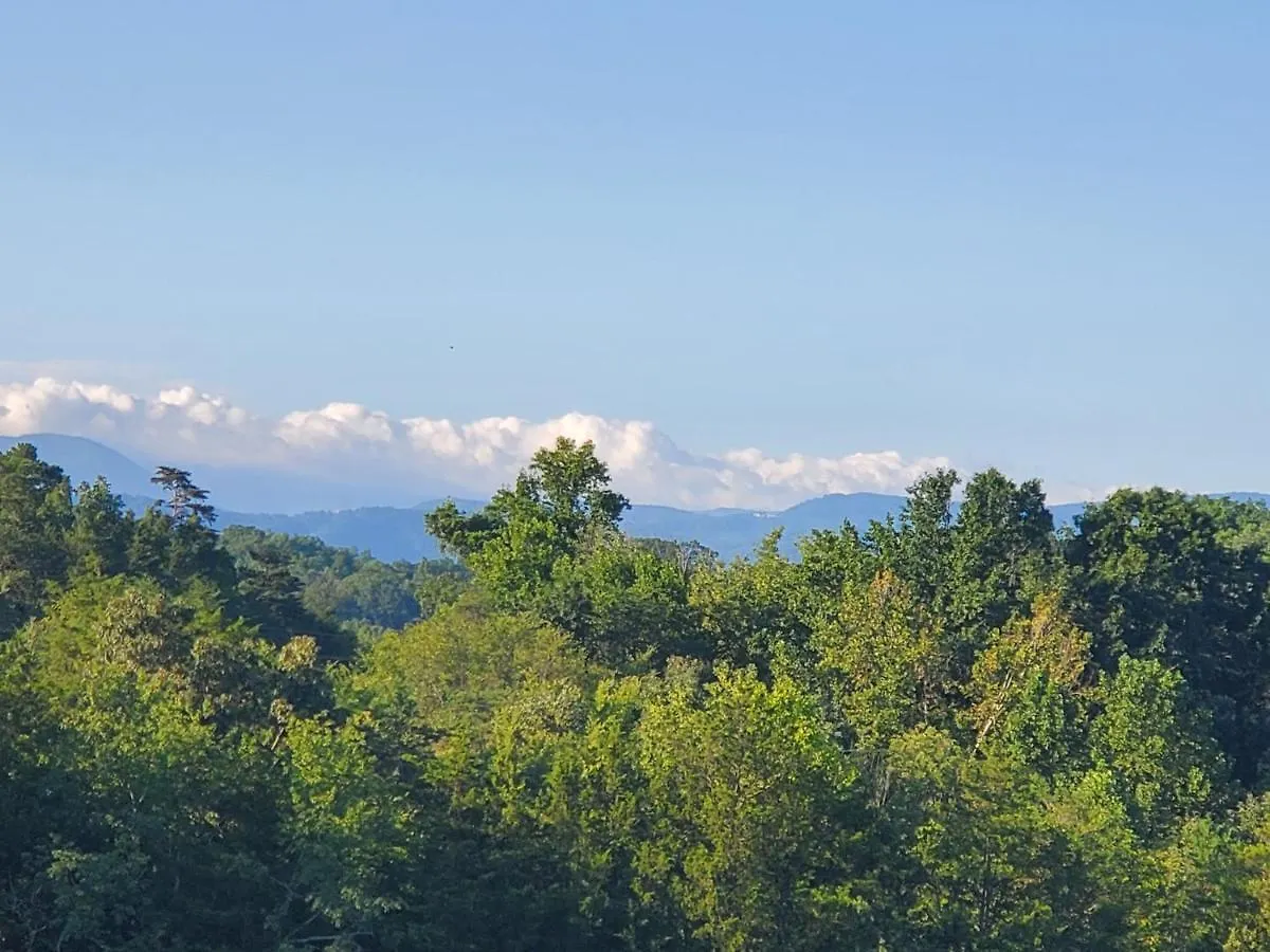 Huny Bear Pigeon Forge