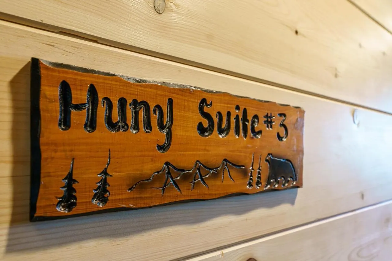 Huny Bear Pigeon Forge