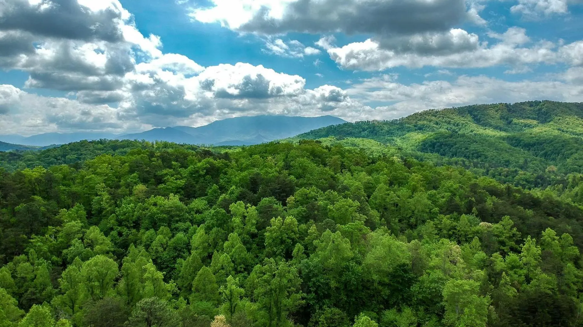Forget Me Not Holiday home Pigeon Forge