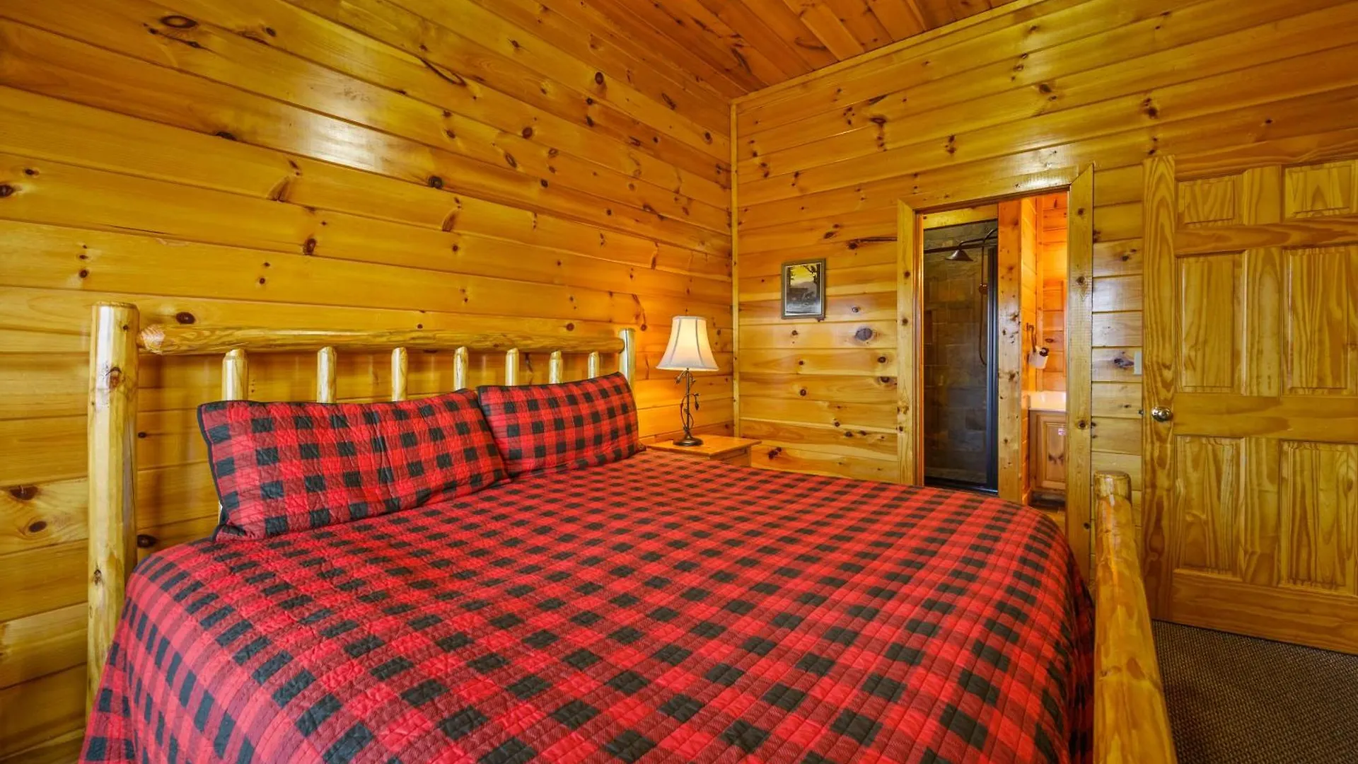 Raccoon Ridge Holiday home Pigeon Forge