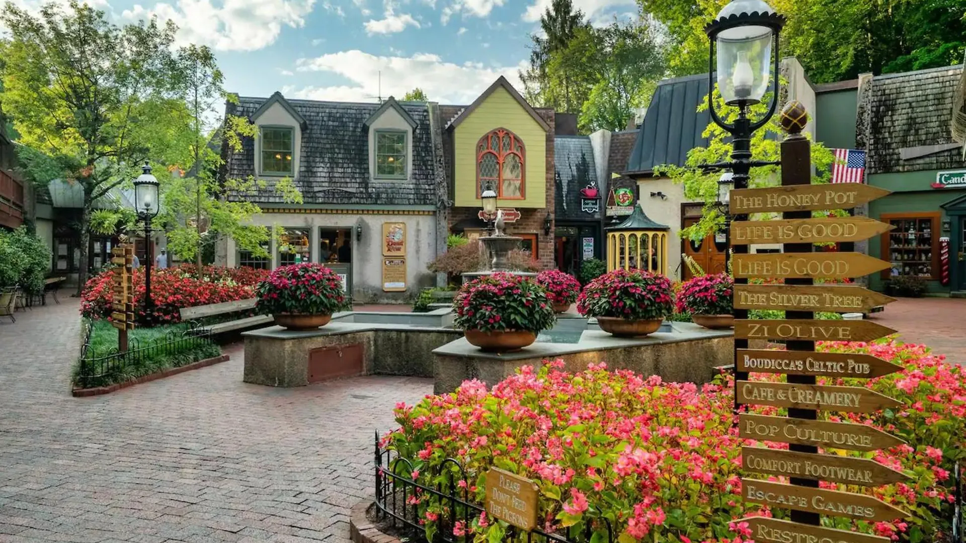 Views 1br15bath Pet-friendly With Hot Tub & Bbq Holiday home Pigeon Forge