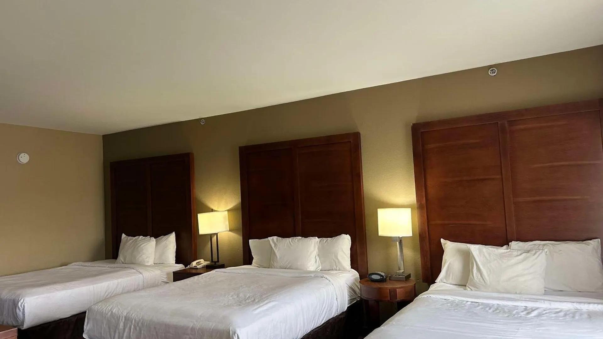 Hotel Vista Near Island Drive And Convention Center