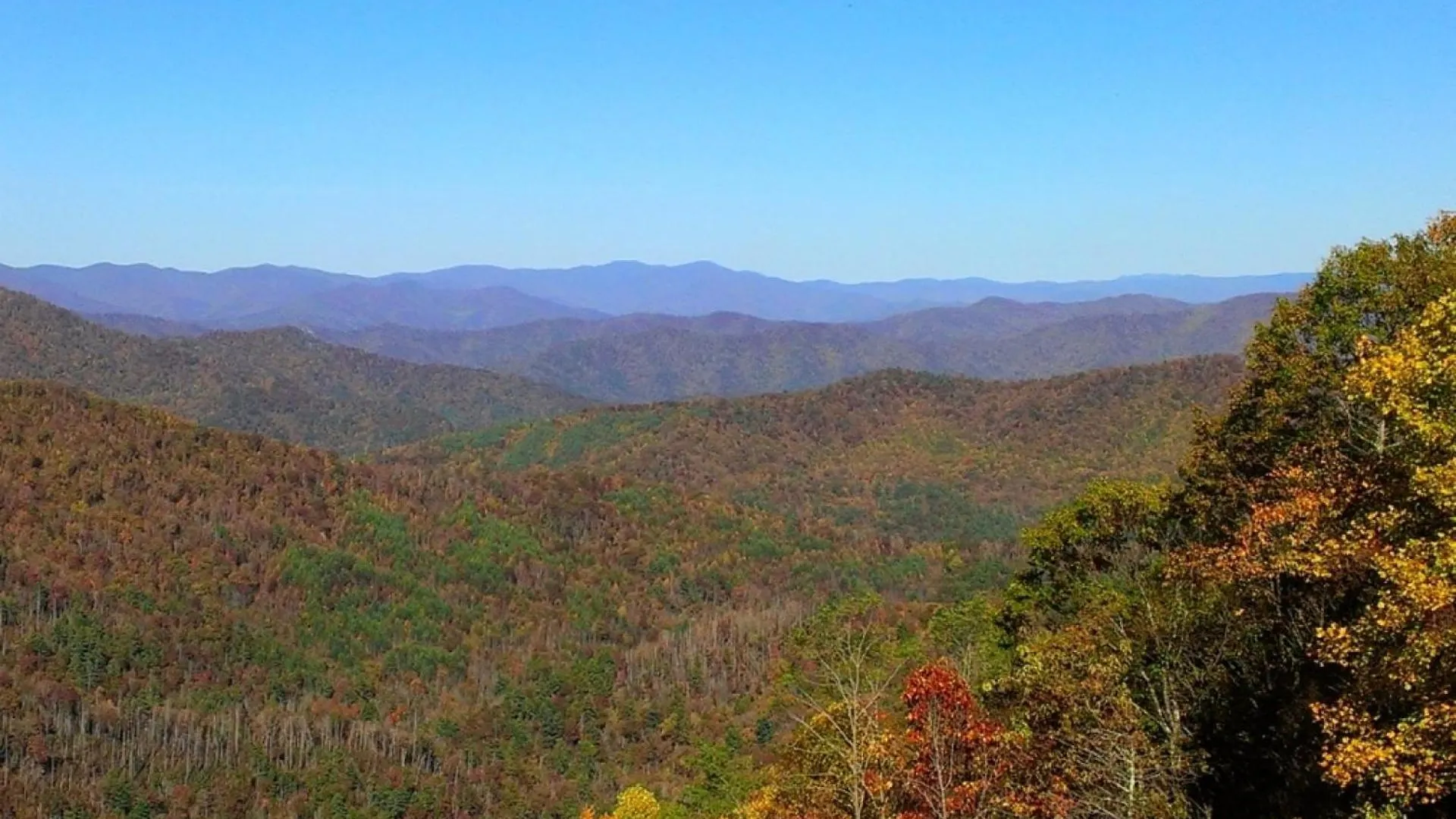 Simply Blessed Mountain View 1605 Pigeon Forge