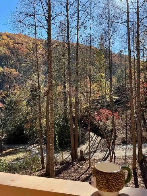 Holiday home The Grand Tennessean Cabin- Four Bedroom Luxury In The Mountains *