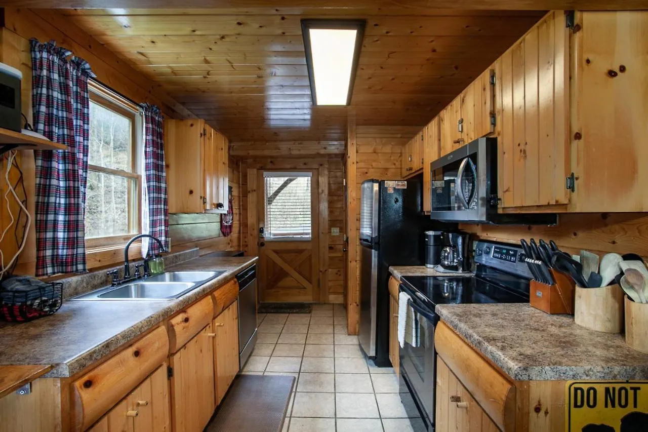 Dream On The Stream Hottub Pooltable Firepit Pigeon Forge