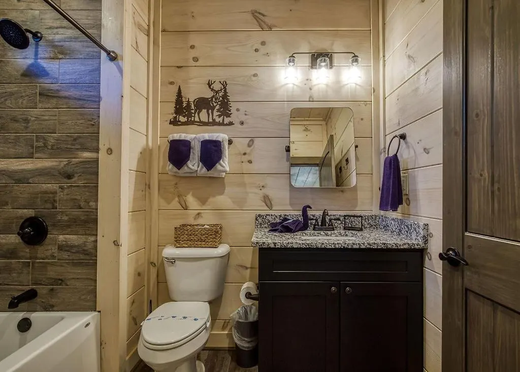 Holiday home Creekside Lodge, Hot Tub, 1089 Of Free Attraction Tickets For Each Paid Day, Dollywood And More!