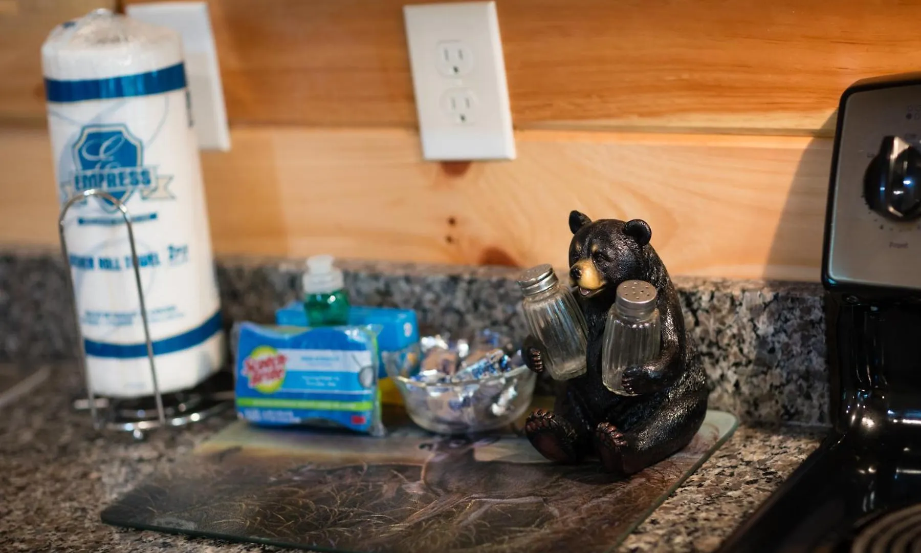 Bear Clubhouse Hot Tub, 1mile From The Parkway, 900 In Free Tickets! Holiday home Pigeon Forge