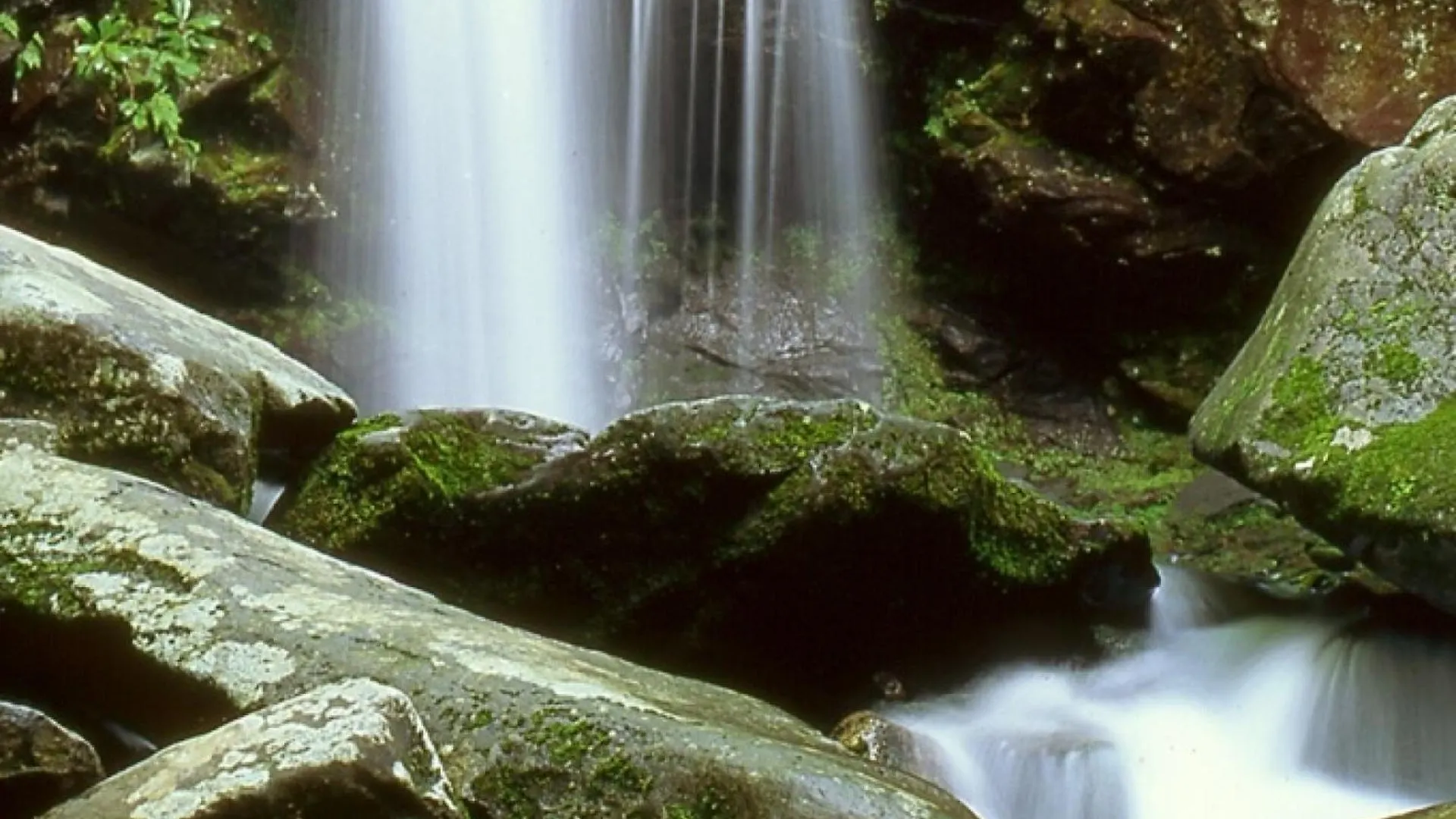 Hidden Hollow *