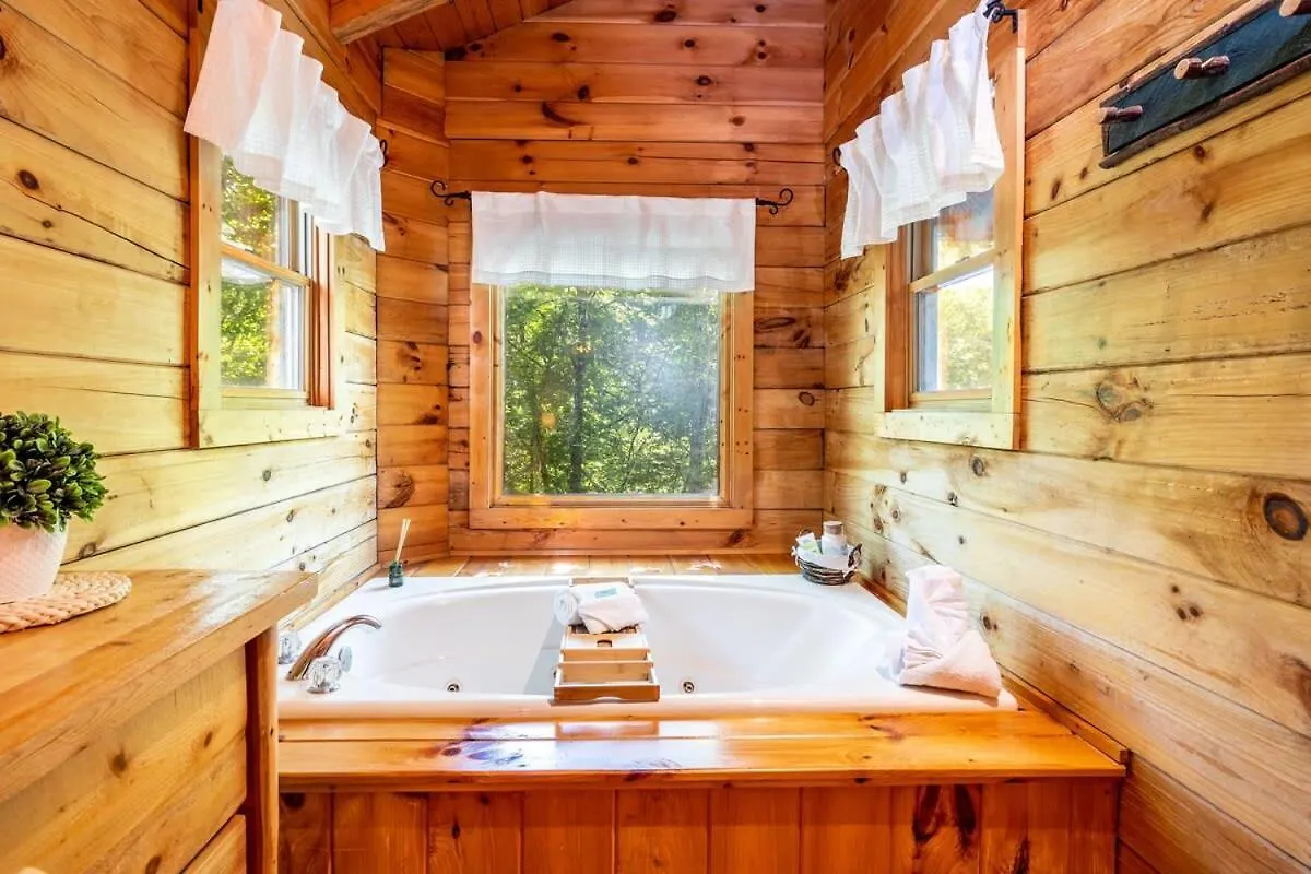 Quaint & Secluded Near Dollywood With Bbq&hot Tub Holiday home Pigeon Forge