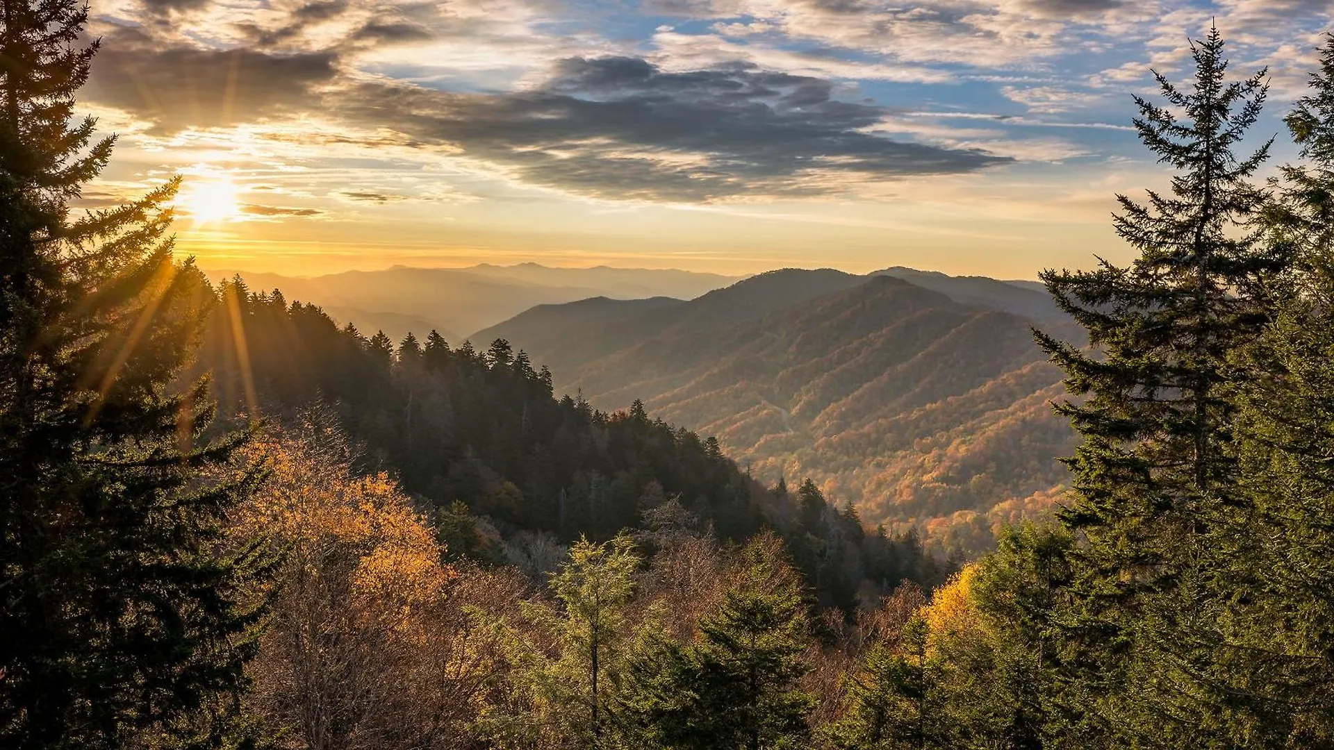 Apartment Family Fun Whispering Pines 324 Pigeon Forge