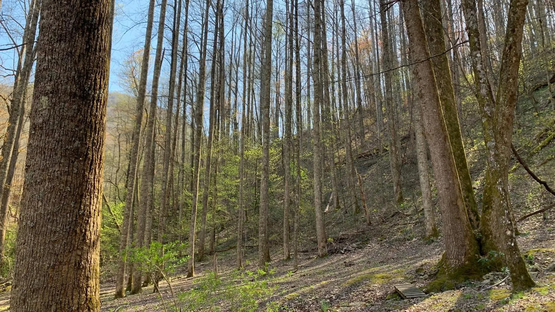 Holiday home Little Mountain Hideaway Pigeon Forge