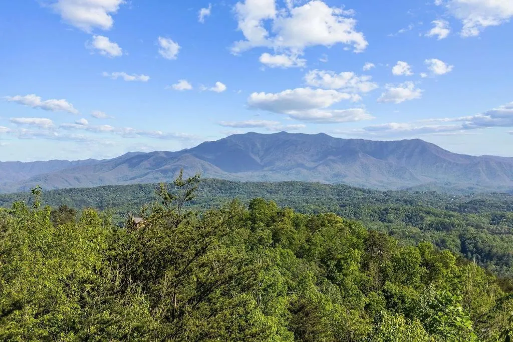 Beauty And The Bear Pigeon Forge
