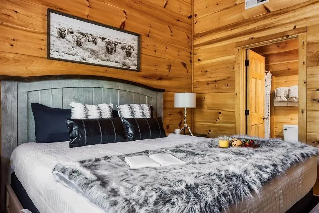 5 Ensuite Bedrooms, Hot Tub, Dog Friendly * Pigeon Forge