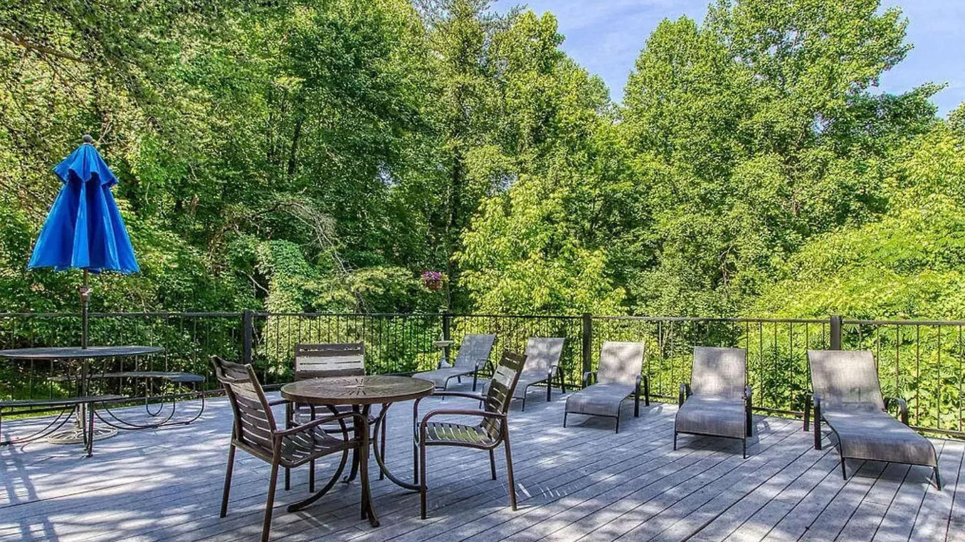 Cozy Bear Hill, Pool, 1089 Of Free Attraction Tickets For Each Paid Day, Dollywood And More!